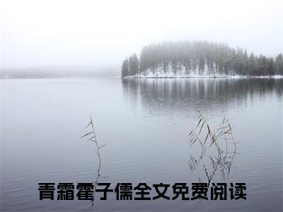 青霜霍子儒（青霜霍子儒）全文免费阅读无弹窗大结局_青霜霍子儒在线阅读笔趣阁（青霜霍子儒）