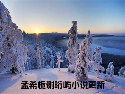 （孟希栀谢珩屿）缘分尽，恩怨消，你我注定此生错过小说小说全文免费缘分尽，恩怨消，你我注定此生错过读最新章节列表笔趣阁（孟希栀谢珩屿）