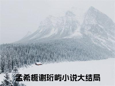 孟希栀谢珩屿（孟希栀谢珩屿）小说全文免费阅读无弹窗大结局_孟希栀谢珩屿最新章节列表