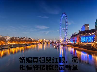 孟婉裴卿礼全文免费阅读无弹窗大结局-娇媚寡妇哭红眼，疯批侯爷搂腰哄全文在线阅读最新章节列表_笔趣阁