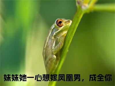 姜羡梨谢景城全文免费阅读_（妹妹她一心想嫁凤凰男，成全你免费阅读无弹窗）妹妹她一心想嫁凤凰男，成全你最新章节列表笔趣阁
