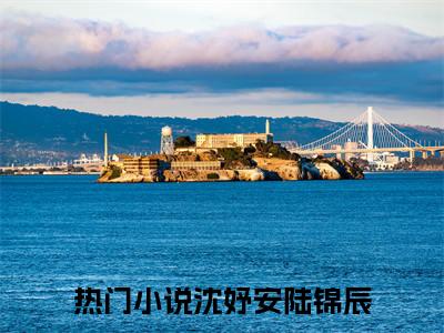 沈妤安陆锦辰全集章节小说免费阅读完整版（沈妤安陆锦辰）-沈妤安陆锦辰小说免费阅读