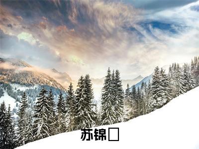 重生七零：开局搞科研，鹰酱震惊了（苏锦婳）全文免费阅读无弹窗大结局_苏锦婳免费最新章节列表_笔趣阁