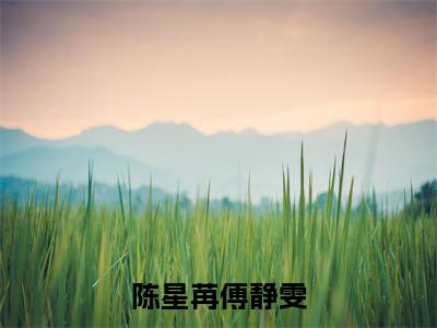 陈星苒傅静雯小说（陈星苒傅静雯）全文免费阅读大结局_（陈星苒傅静雯）陈星苒傅静雯小说免费阅读无弹窗