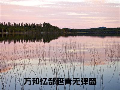 方知忆郜越青小说（方知忆郜越青）全文免费阅读无弹窗大结局_方知忆郜越青最新章节列表_笔趣阁（方知忆郜越青）