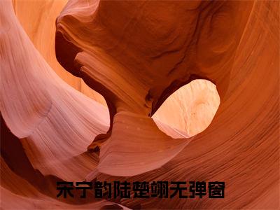 宋宁韵陆楚翊小说（宋宁韵陆楚翊）全文免费阅读无弹窗大结局_宋宁韵陆楚翊（宋宁韵陆楚翊）最新章节列表