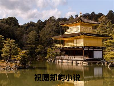 抖音热推新书祝愿郑屿-抖音热推祝愿郑屿无弹窗阅读