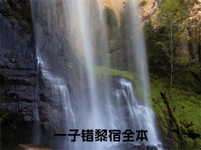 一子错黎宿（一子错黎宿）全文免费阅读无弹窗_一子错黎宿最新小说_笔趣阁
