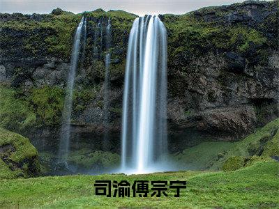 司渝傅宗宁小说（司渝傅宗宁）全文免费阅读无弹窗大结局_司渝傅宗宁小说最新章节列表