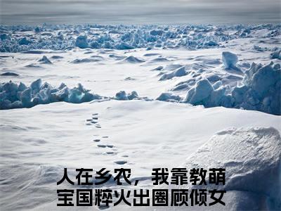 人在乡农，我靠教萌宝国粹火出圈顾倾全文免费阅读-主角为人在乡农，我靠教萌宝国粹火出圈顾倾的小说