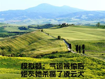 模拟器：气运被偷后炮灰她杀疯了凌云小说(模拟器：气运被偷后炮灰她杀疯了凌云)全文免费阅读无弹窗大结局_(模拟器：气运被偷后炮灰她杀疯了凌云小说全文免费阅读)模拟器：气运被偷后炮灰她杀疯了凌云最新章节列表笔趣阁（模拟器：气运被偷后炮灰她杀疯了凌云）