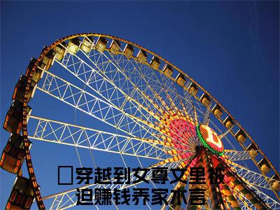 穿越到女尊文里被迫赚钱养家木言小说免费阅读全文在线阅读，穿越到女尊文里被迫赚钱养家木言的小说在线阅读全文