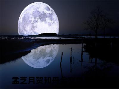 孟芝月贺知舟（孟芝月贺知舟）全文免费阅读无弹窗大结局孟芝月贺知舟