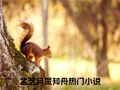 孟芝月贺知舟（孟芝月贺知舟）精彩热门小说无弹窗-孟芝月贺知舟全文免费阅读