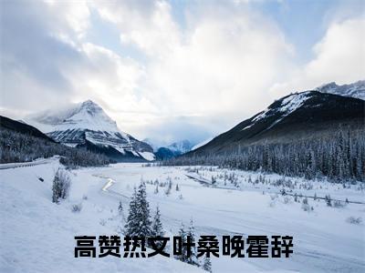 叶桑晚霍辞免费阅读无弹窗，叶桑晚霍辞小说大结局全文免费阅读