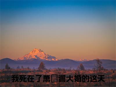 沈知意萧璟渊（我死在了萧璟渊大婚的这天）全文免费阅读无弹窗大结局_我死在了萧璟渊大婚的这天小说全文无弹窗