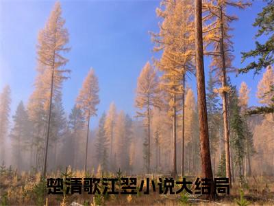 （楚清歌江翌）全文免费阅读无弹窗大结局_楚清歌江翌完整版最新阅读_笔趣阁（楚清歌江翌）