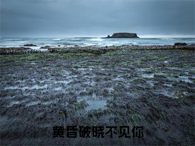 顾泽璟夏知冉黄昏破晓不见你小说（黄昏破晓不见你）全文免费阅读无弹窗大结局_黄昏破晓不见你小说最新章节列表_笔趣阁