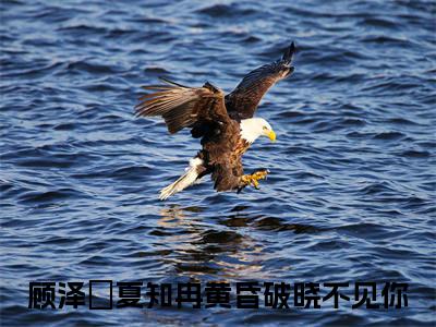 顾泽璟夏知冉全文免费阅读无弹窗-（黄昏破晓不见你）顾泽璟夏知冉最新章节列表在线阅读