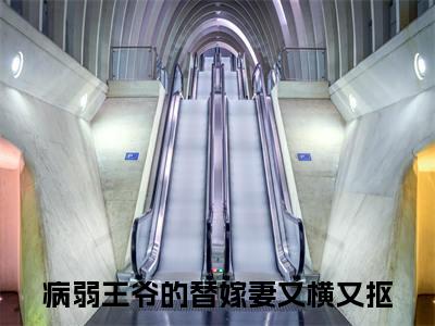 苏落落萧行渊（病弱王爷的替嫁妻又横又抠）全文免费阅读无弹窗大结局_苏落落萧行渊（苏落落萧行渊）免费在线阅读最新章节列表笔趣阁
