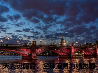 沈星瑜（夫人觉醒后，全球渣男为她发疯）在哪免费看-沈星瑜小说（夫人觉醒后，全球渣男为她发疯）全文完整版免费阅读