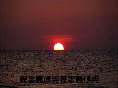 程念唐修尧（程念唐修尧）全文免费阅读无弹窗完整版，（程念唐修尧）免费阅读全文最新章节列表_笔趣阁