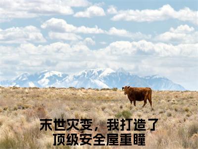 末世灾变，我打造了顶级安全屋重瞳小说（末世灾变，我打造了顶级安全屋重瞳）最新章节阅读-最新热点小说末世灾变，我打造了顶级安全屋重瞳