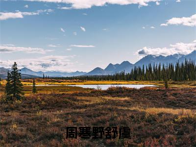 周寒野舒虞超受欢迎小说-周寒野舒虞全文在线赏析