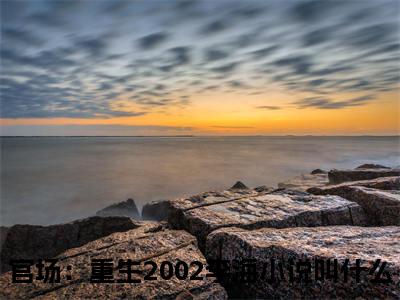 官场：重生2002李海完整版最新小说大结局 官场：重生2002李海最新章节