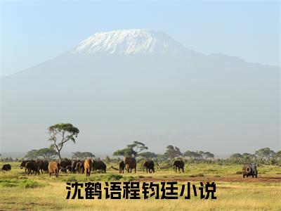 沈鹤语程钧廷小说（沈鹤语程钧廷）小说全文无删减版在线阅读_沈鹤语程钧廷小说最新章节列表