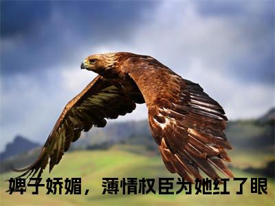精选小说冯怜怜傅诏（婢子娇媚，薄情权臣为她红了眼）全本阅读_婢子娇媚，薄情权臣为她红了眼免费阅读_笔趣阁