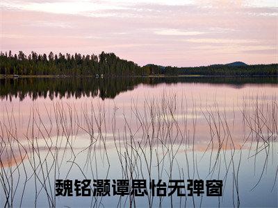 魏铭灏谭思怡小说热门阅读全文-魏铭灏谭思怡章节无删减版