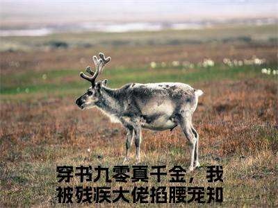 穿书九零真千金，我被残疾大佬掐腰宠全文免费阅读大结局_穿书九零真千金，我被残疾大佬掐腰宠（阮锦书宋修竹）最新章节列表