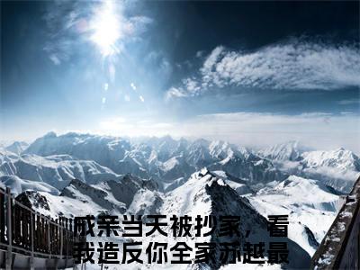 （成亲当天被抄家，看我造反你全家苏越）全文免费阅读无弹窗大结局_成亲当天被抄家，看我造反你全家苏越免费小说最新章节列表笔趣阁（成亲当天被抄家，看我造反你全家苏越）