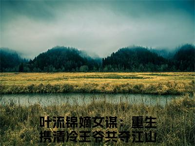 嫡女谋：重生携清冷王爷共夺江山全文免费阅读无弹窗-（叶流锦在线阅读）嫡女谋：重生携清冷王爷共夺江山最新章节列表笔趣阁
