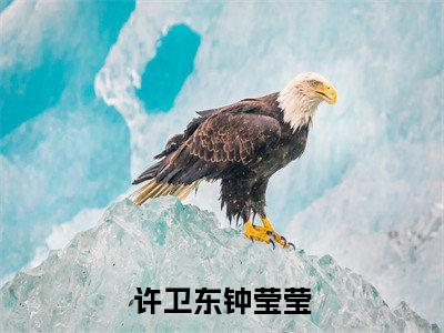 许卫东钟莹莹微小说免费阅读-许卫东钟莹莹言情小说阅读
