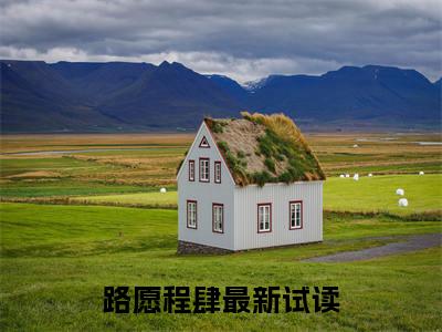 （偏爱过深小说免费阅读）路愿程肆全文免费阅读无弹窗大结局-偏爱过深全文免费版阅读
