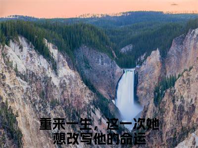 赵启月顾思铭（重来一生，这一次她想改写他的命运）全文免费阅读无弹窗大结局_赵启月顾思铭最新章节列表_笔趣阁