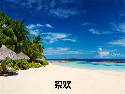 周妄洛心葵小说主角叫什么染欢全文免费阅读大结局
