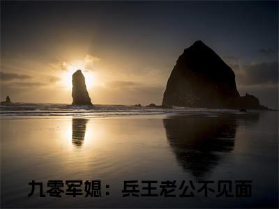 于锦书林毅轩小说（九零军媳：兵王老公不见面）全文免费阅读无弹窗大结局_（于锦书林毅轩）九零军媳：兵王老公不见面小说最新章节列表