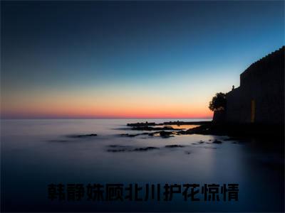 护花惊情在线阅读（韩静姝顾北川）全文免费阅读无弹窗大结局_韩静姝顾北川最新章节列表笔趣阁（护花惊情）