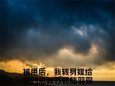 小说（被甩后，我转身嫁给豪门总裁）苏妍陆羽琛全文阅读-被甩后，我转身嫁给豪门总裁（苏妍陆羽琛）老书虫书荒推荐热点小说