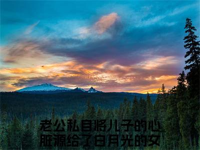 老公私自将儿子的心脏源给了白月光的女儿（季承礼姜晓柠）全文无弹窗大结局_老公私自将儿子的心脏源给了白月光的女儿在线阅读无弹窗最新章节列表_笔趣阁