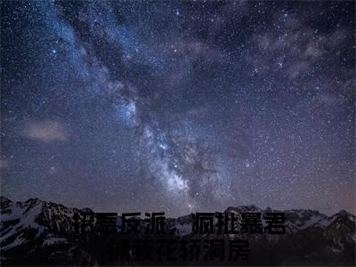 （招惹反派，疯批暴君掳我花轿洞房后续+全集）林立夏姬慎（招惹反派，疯批暴君掳我花轿洞房）小说小说全集招惹反派，疯批暴君掳我花轿洞房无删减在线阅读