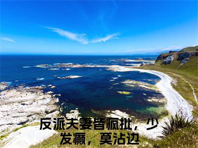 师如月诸葛青云（反派夫妻皆疯批，少发癫，莫沾边）小说结局-师如月诸葛青云全文无弹窗阅读