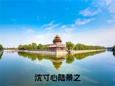 沈寸心陆景之豪门小说全章节阅读-沈寸心陆景之全文免费阅读