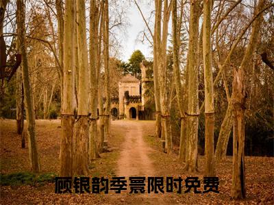 好看的小说推荐顾银韵季寰 顾银韵季寰全文试读免费大结局