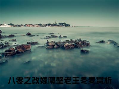 八零之改嫁隔壁老王冬麦阅读无弹窗大结局_八零之改嫁隔壁老王冬麦最新章节列表_笔趣阁