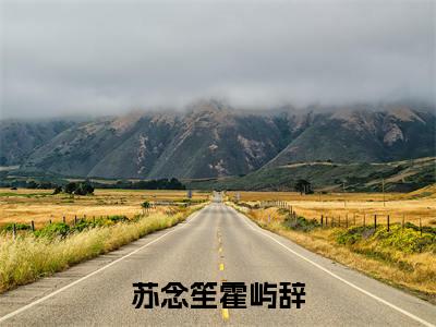 苏念笙霍屿辞精选小说-苏念笙霍屿辞全章节(苏念笙霍屿辞)完整小说
