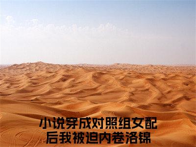 新书热荐穿成对照组女配后我被迫内卷洛锦全文免费阅读无弹窗大结局-小说穿成对照组女配后我被迫内卷洛锦全文完整版免费阅读